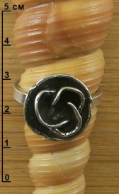 Серебряное кольцо п0026-0037-170